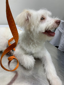 Parkview Pet Center - Veterinary Clinic thumb 5